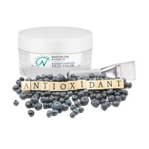 Natural Blueberry Charcoal Mud Mask
